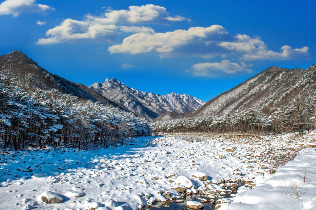 Kashmir Diaries: A Romantic Winter Honeymoon Itinerary